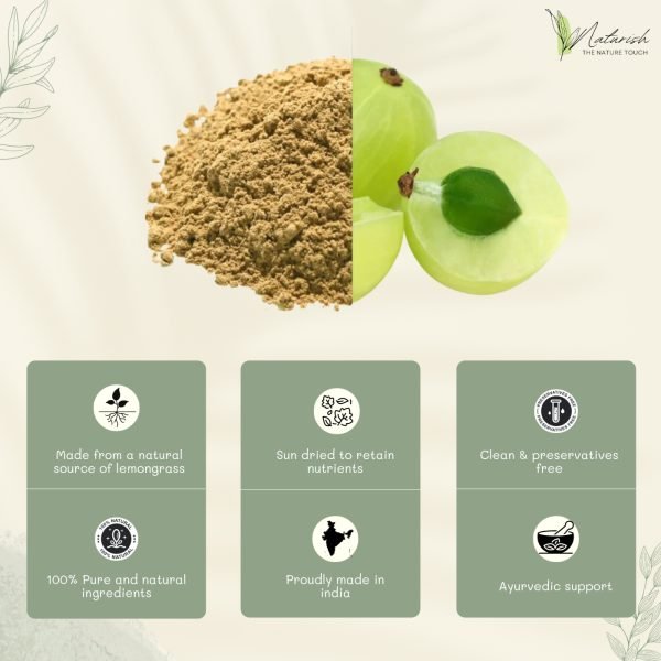 amla powder3