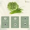 wheatgrass powder3