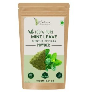 naturish mint leaves powder