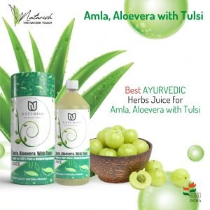 Nourishing Amla, Aloe Vera, and Tulsi Juice Blend - Boost Your Health Naturally with Immunity and Vitality Support