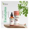 Premium Eucalyptus Oil - Natural Essential Oil for Aromatherapy, Respiratory Health, and Relaxation